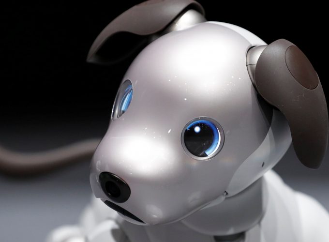 Wallpaper Sony Aibo, robot, dog, 4k, Hi Tech 1543614325